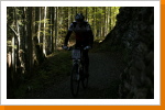 letzte steile Abfahrt vor dem Ziel ... letzte steile Abfahrt vor dem Ziel ...