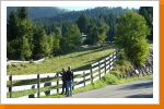 Skiabfahrt, der Schlussteil Skiabfahrt, der Schlussteil
