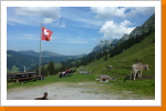 schweizer Idylle ... schweizer Idylle ...