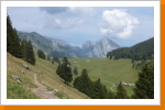 die Wege werden teilweise schmal und steil ... die Wege werden teilweise schmal und steil ...