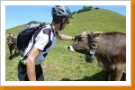 neugierige Tiere ... neugierige Tiere ...