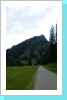 auf dem R&uuml;ckweg ...