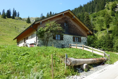 Untere Wengenalpe Untere Wengenalpe