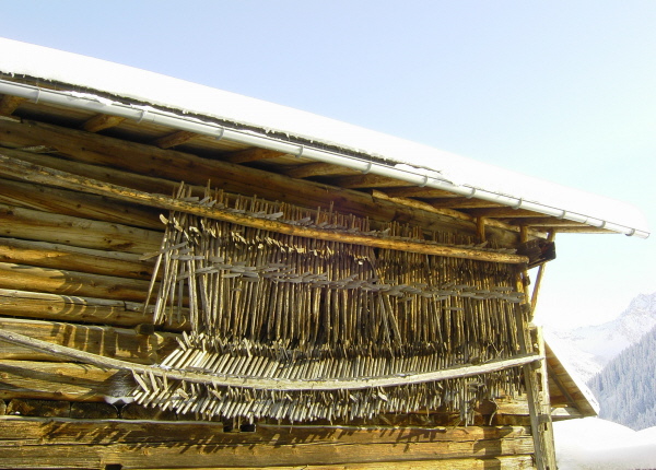 Stall und Heinzen von Poldi Hilbrand in Mittelberg